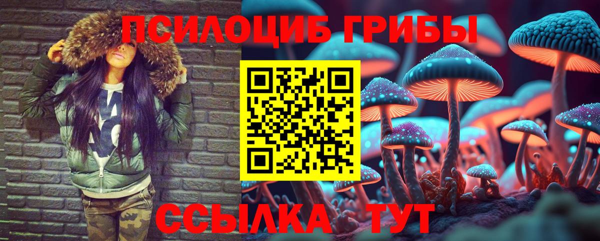 Псилоцибиновые грибы прущие грибы Печора